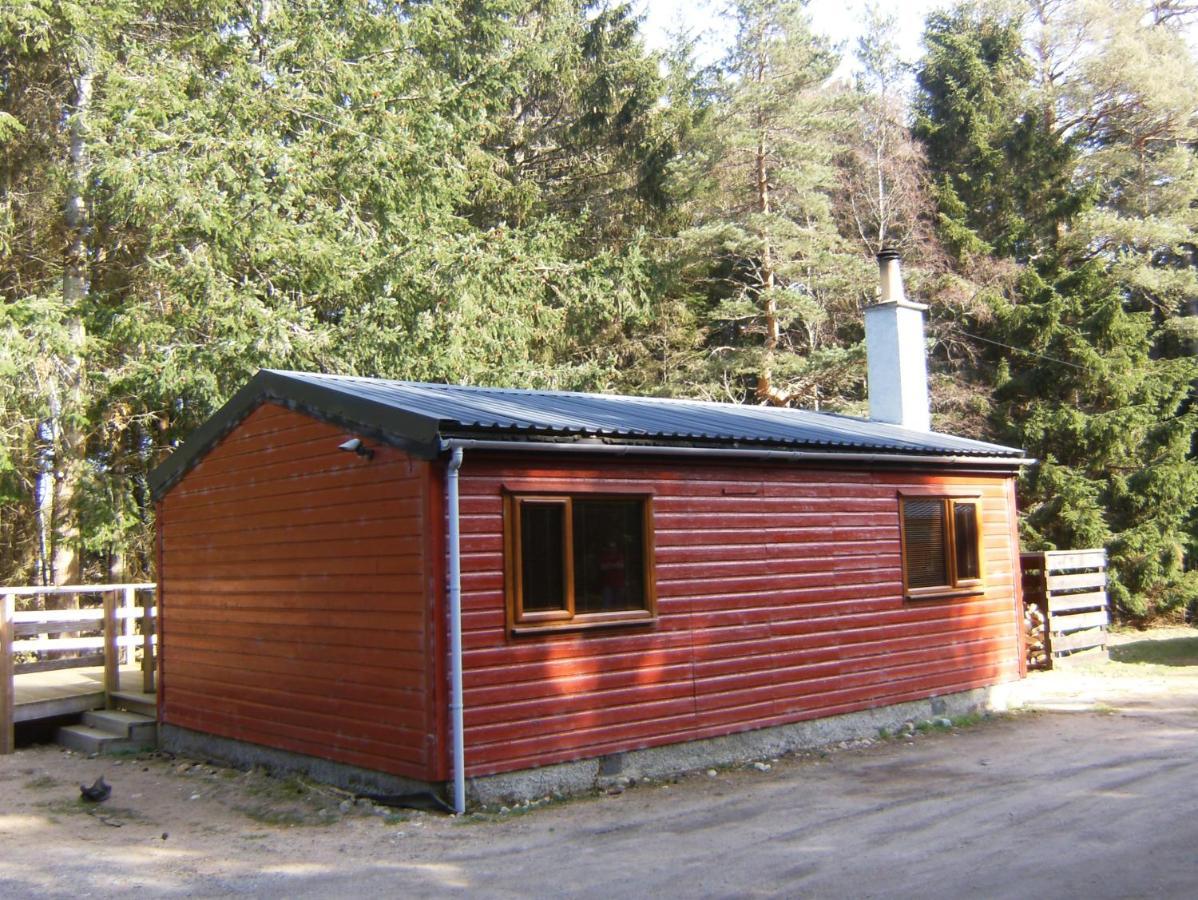 Cairngorm Lodges アボイン エクステリア 写真