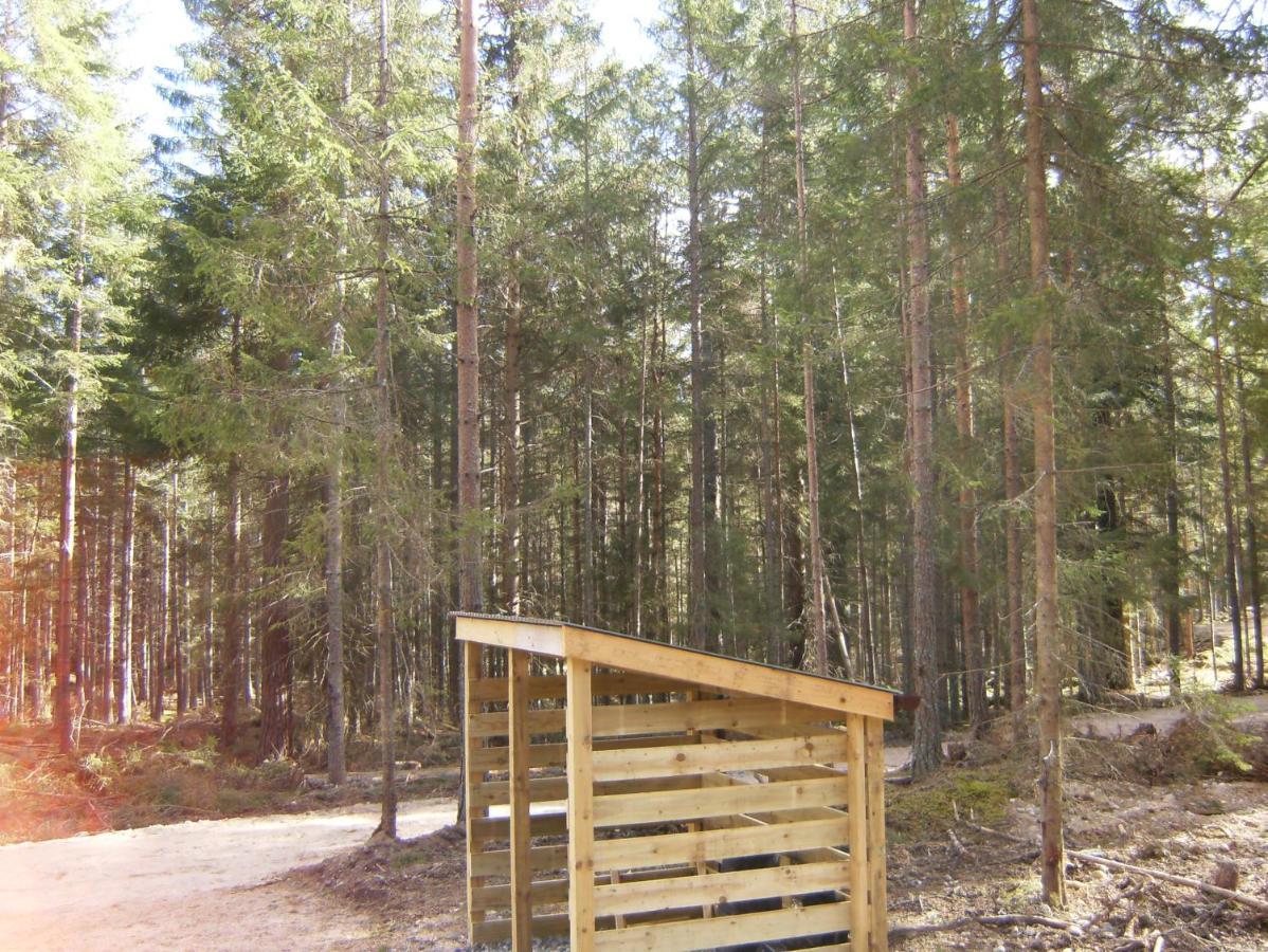 Cairngorm Lodges アボイン エクステリア 写真