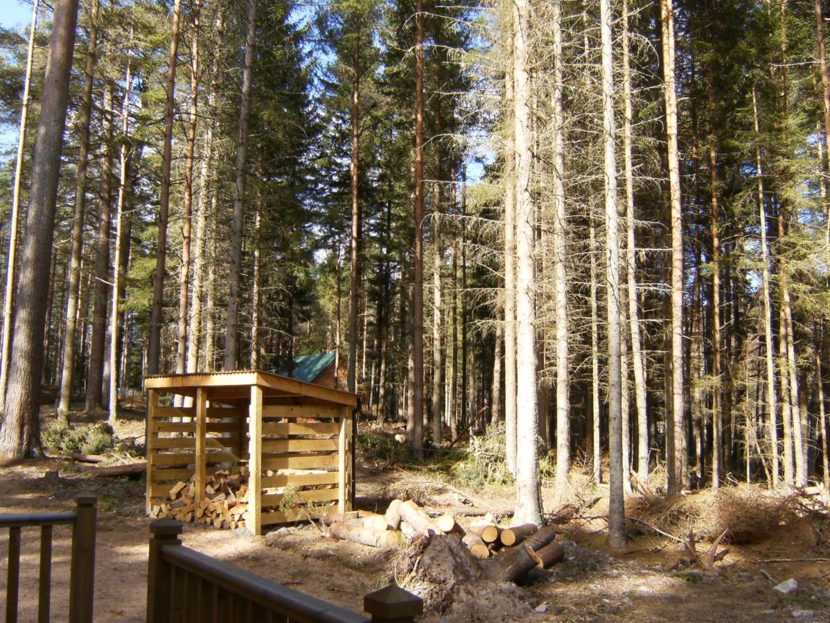 Cairngorm Lodges アボイン エクステリア 写真
