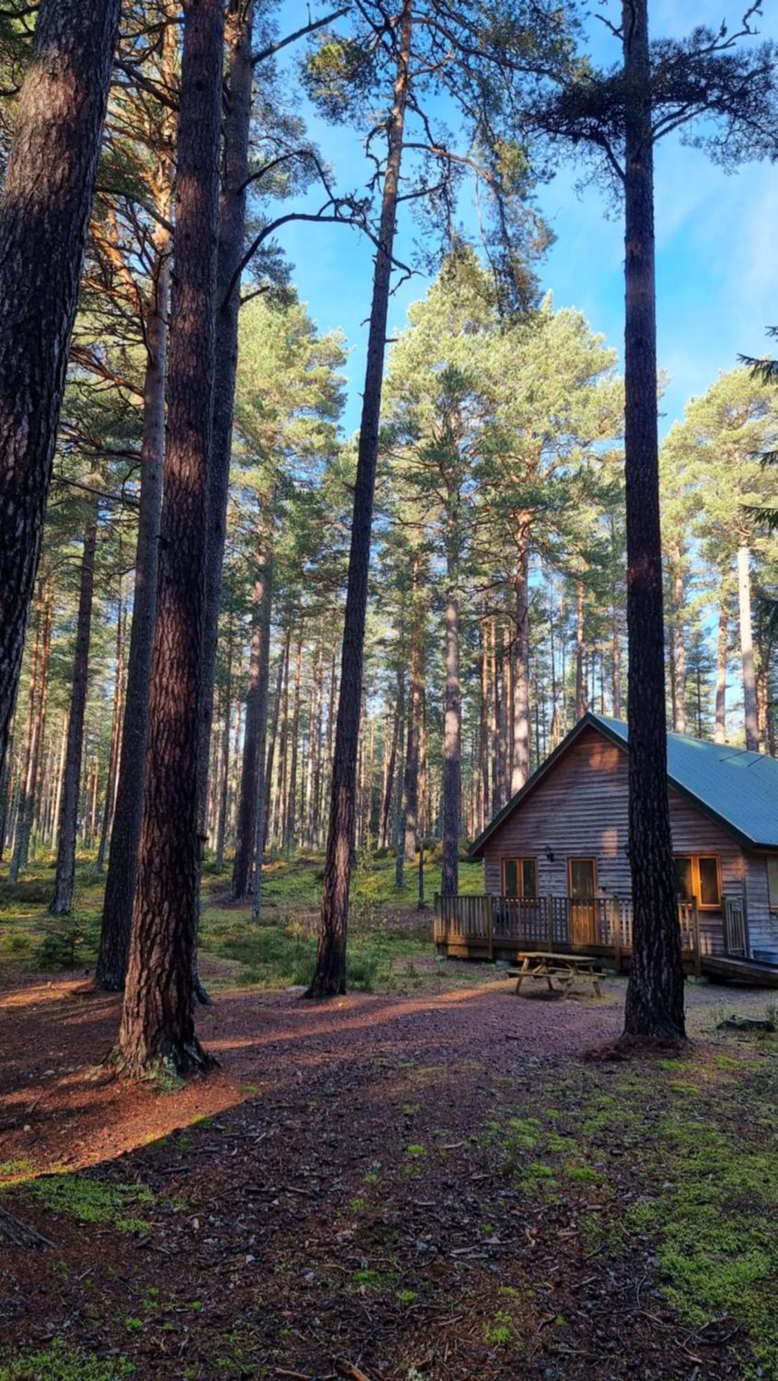 Cairngorm Lodges アボイン エクステリア 写真