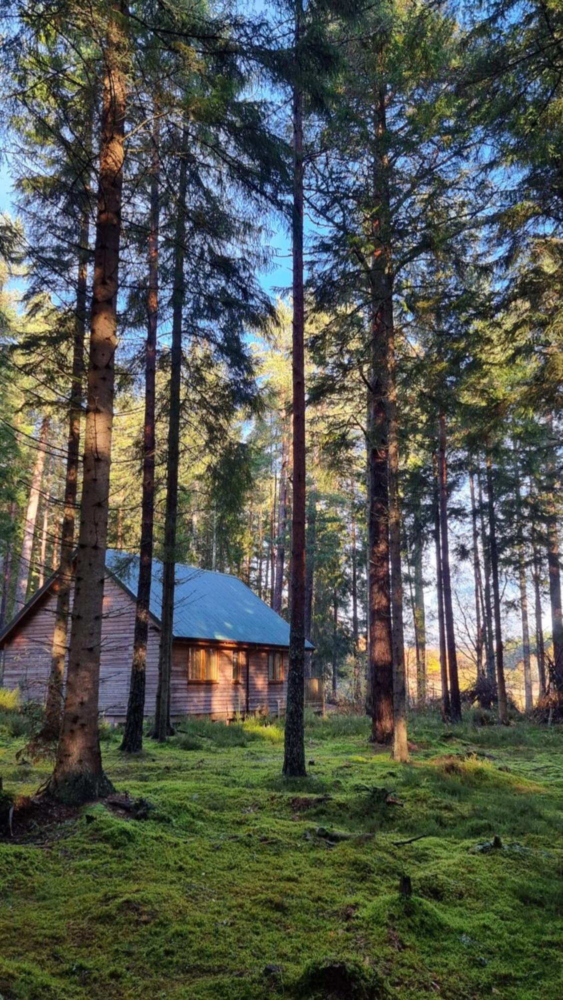 Cairngorm Lodges アボイン エクステリア 写真