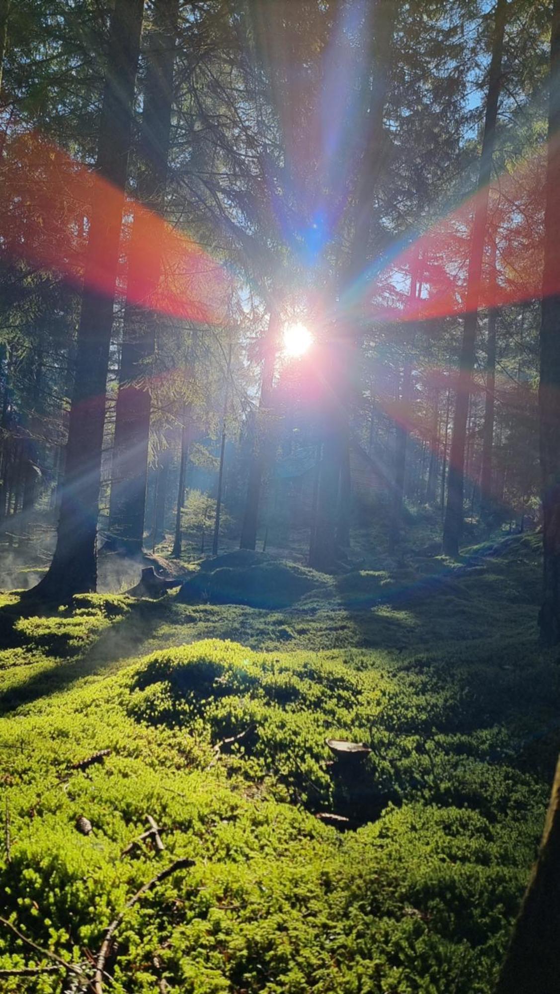 Cairngorm Lodges アボイン エクステリア 写真