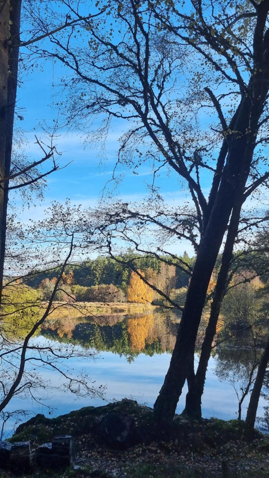 Cairngorm Lodges アボイン エクステリア 写真