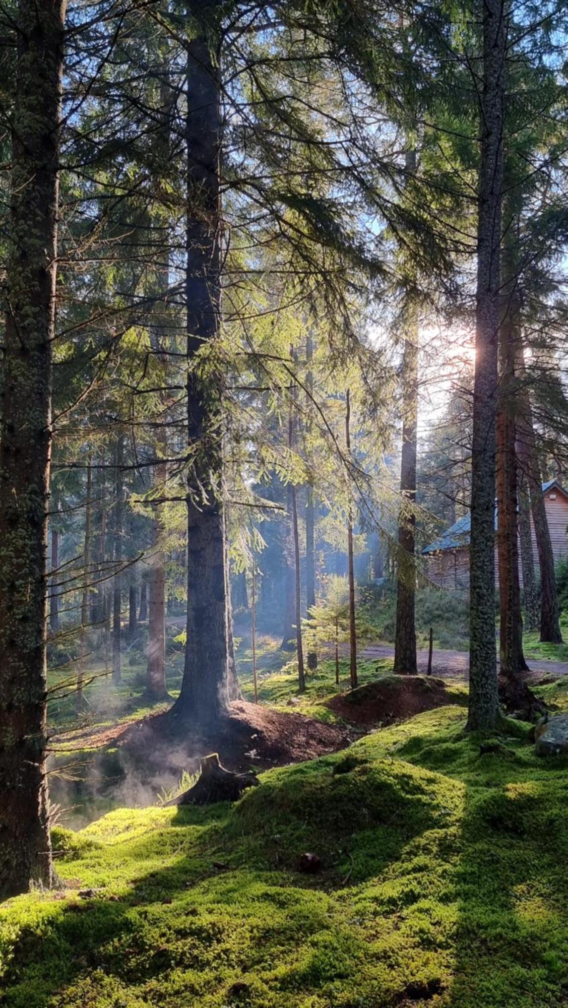 Cairngorm Lodges アボイン エクステリア 写真