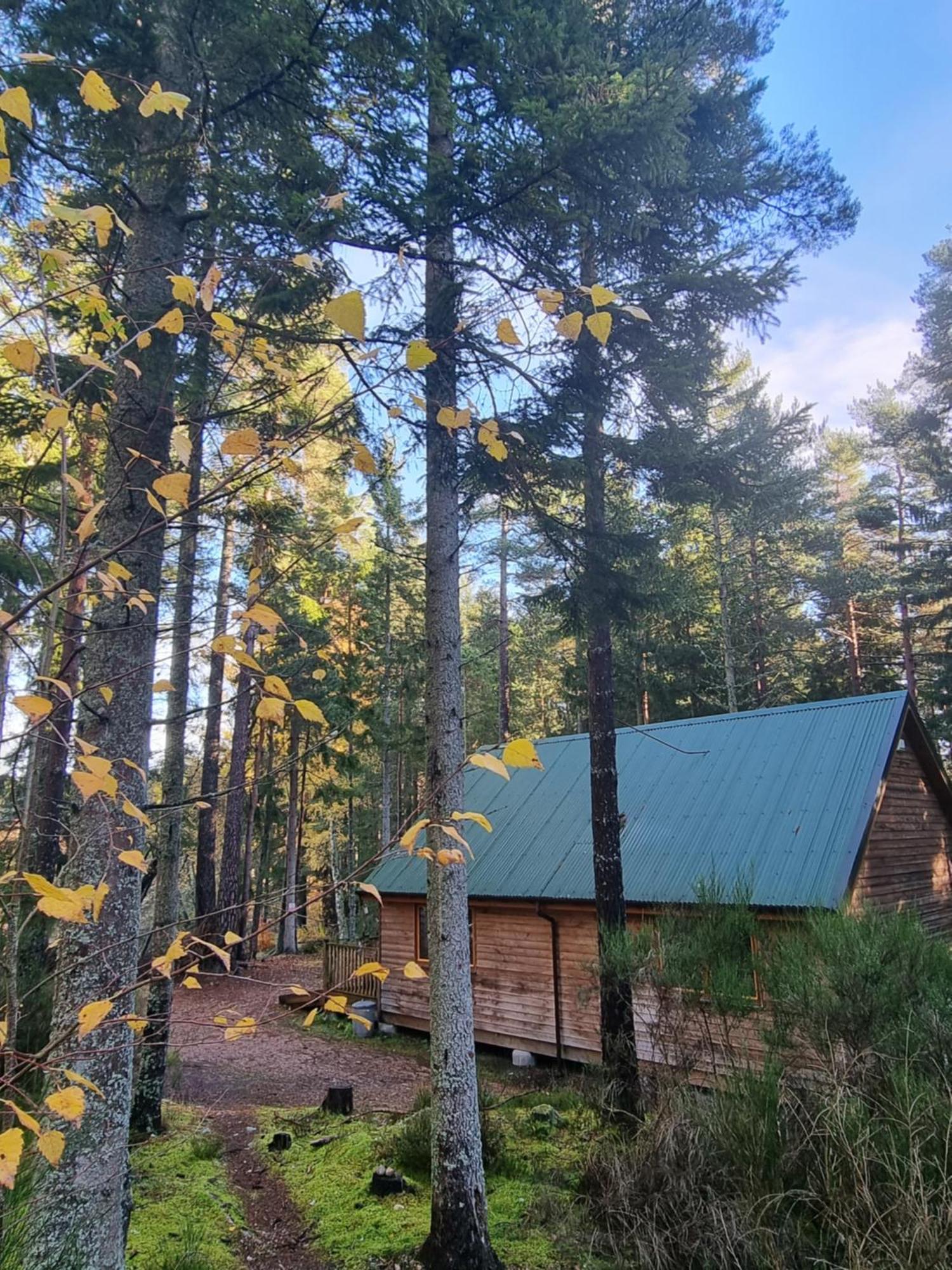 Cairngorm Lodges アボイン エクステリア 写真