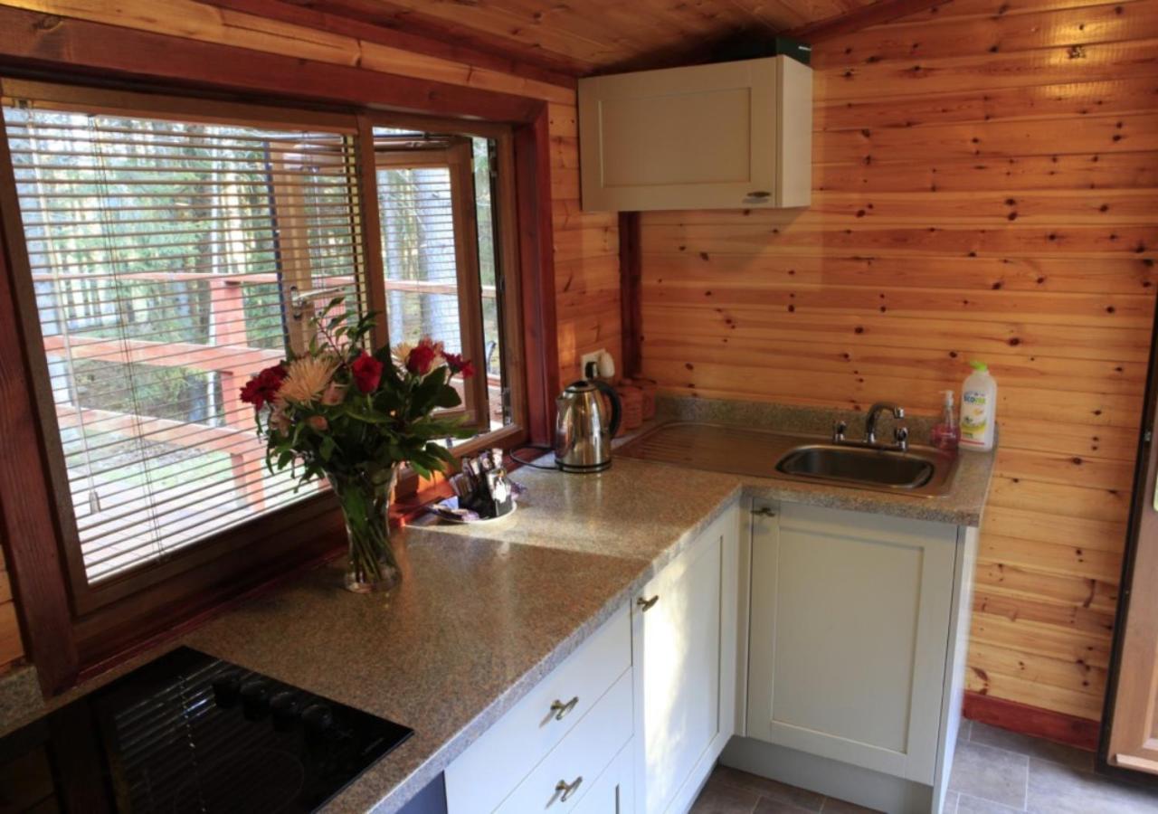 Cairngorm Lodges アボイン エクステリア 写真